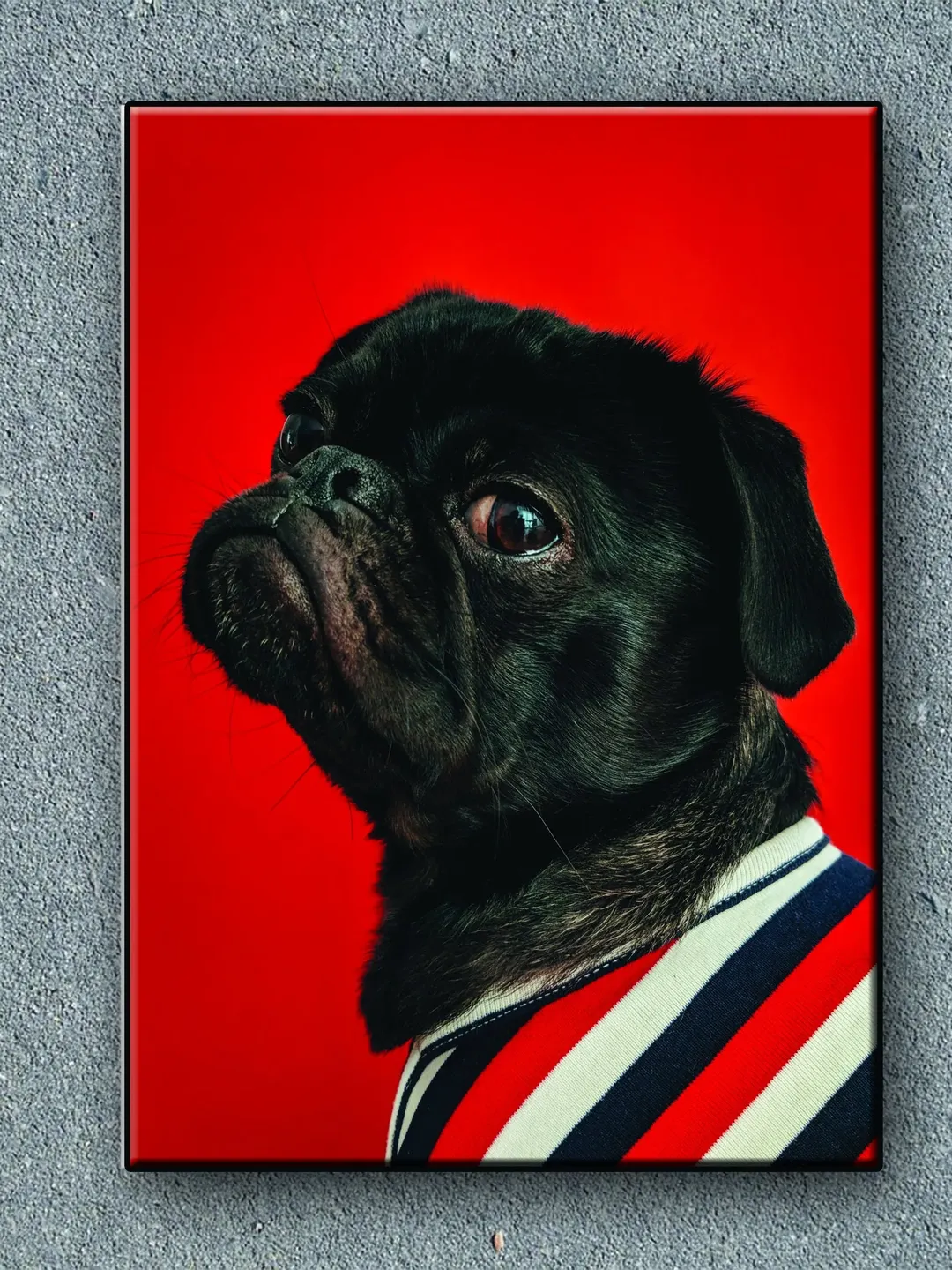 Dog Print on Canvas , Floating Frame Option, Modern Wall Art, Extra Large Canvas Wall Art