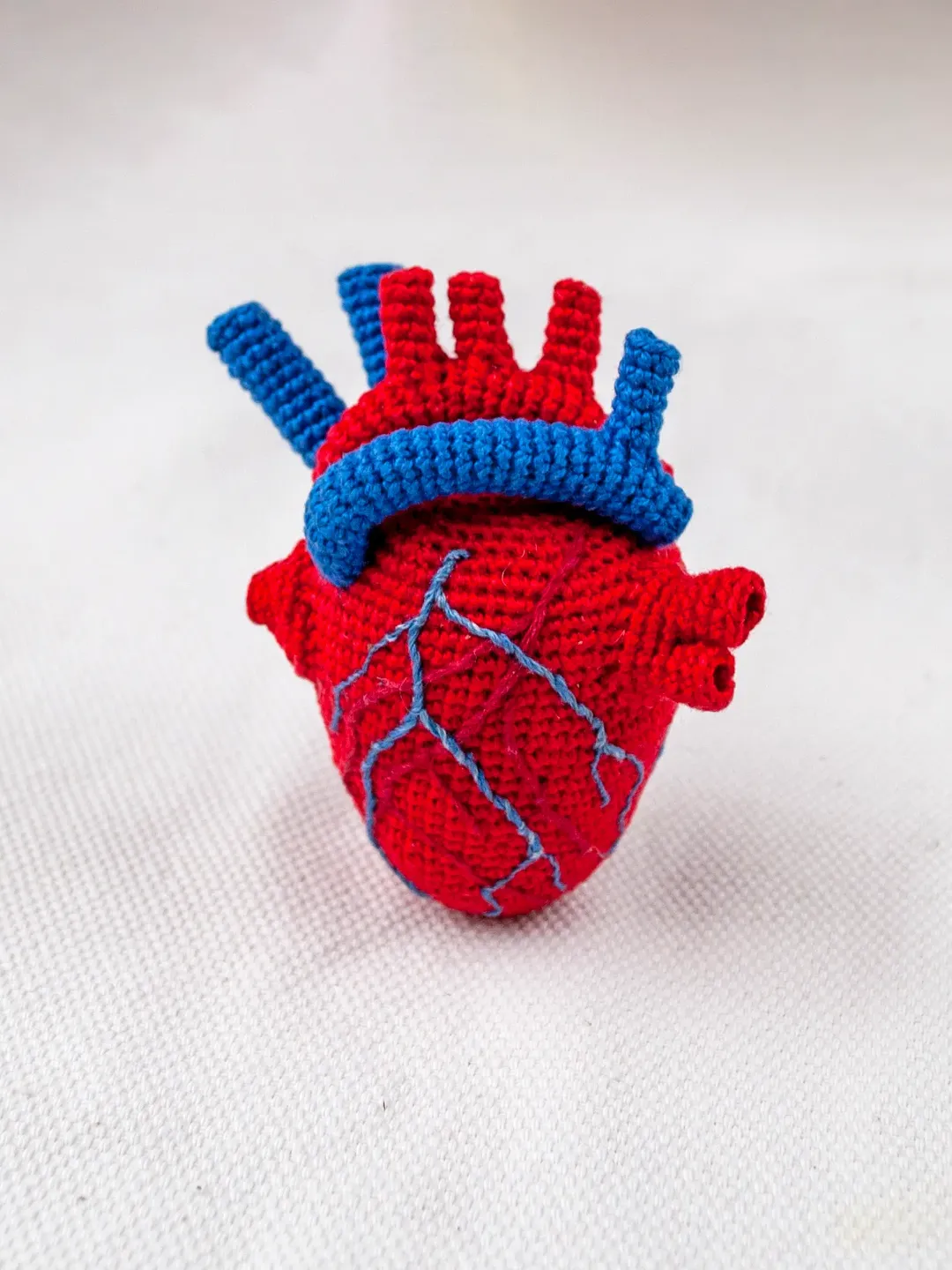 Anatomical human heart crocheted, Realistic heart Gift for a