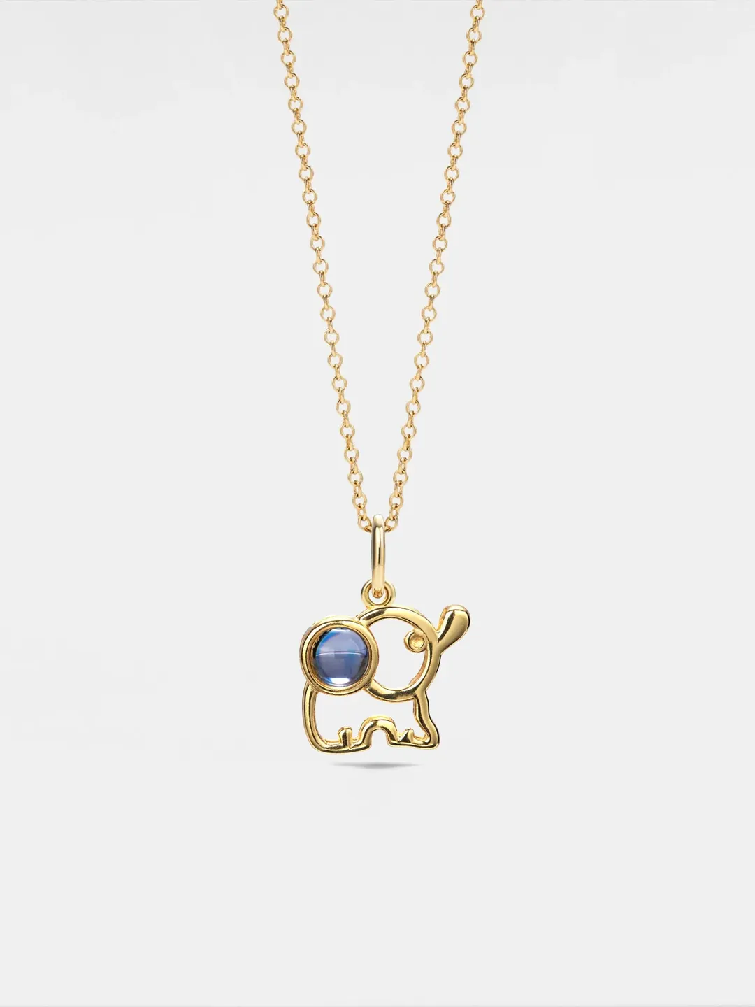 PERIMADE Elephant Projection Necklace • Personalized Picture Inside Pendant • Minimalist Pet Memorial Jewelry • Trendy Best Friend Gift