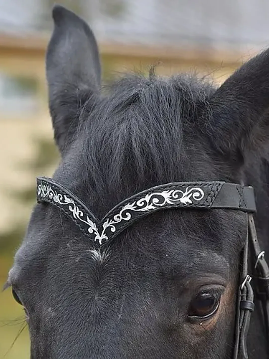 Black leather browband for horses draft pony. Handmade Brow band with hand-paint