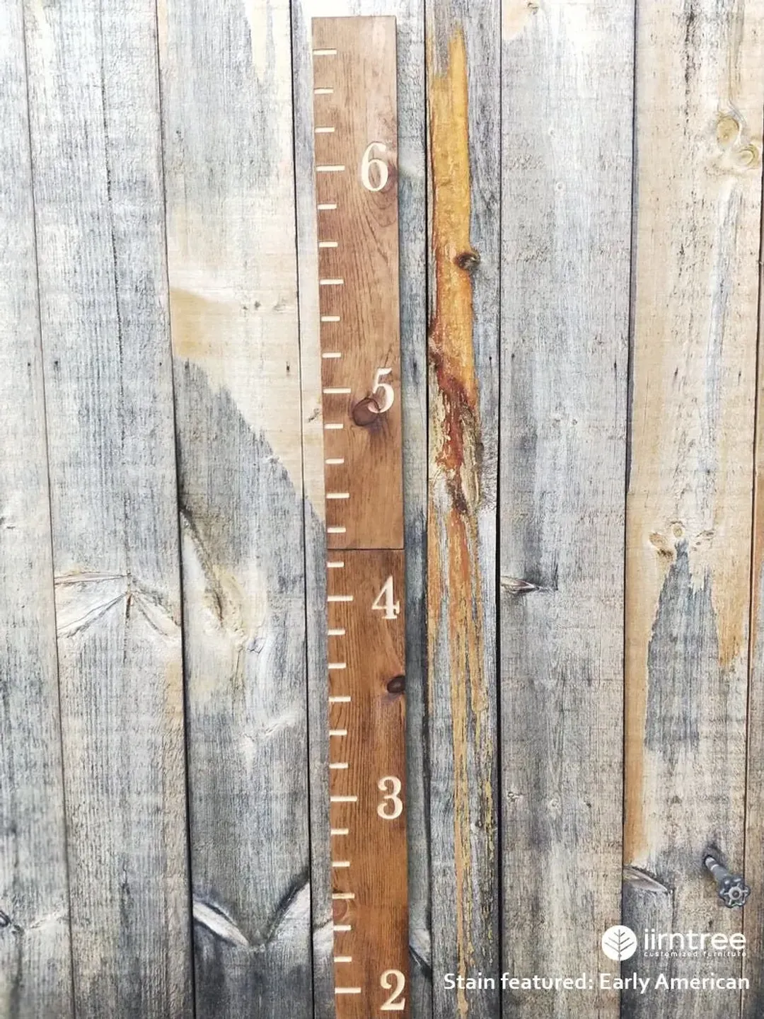 Tall Short Ruler Family Name Growth Chart Ruler | Engraved Family Name Ruler | Wall ...