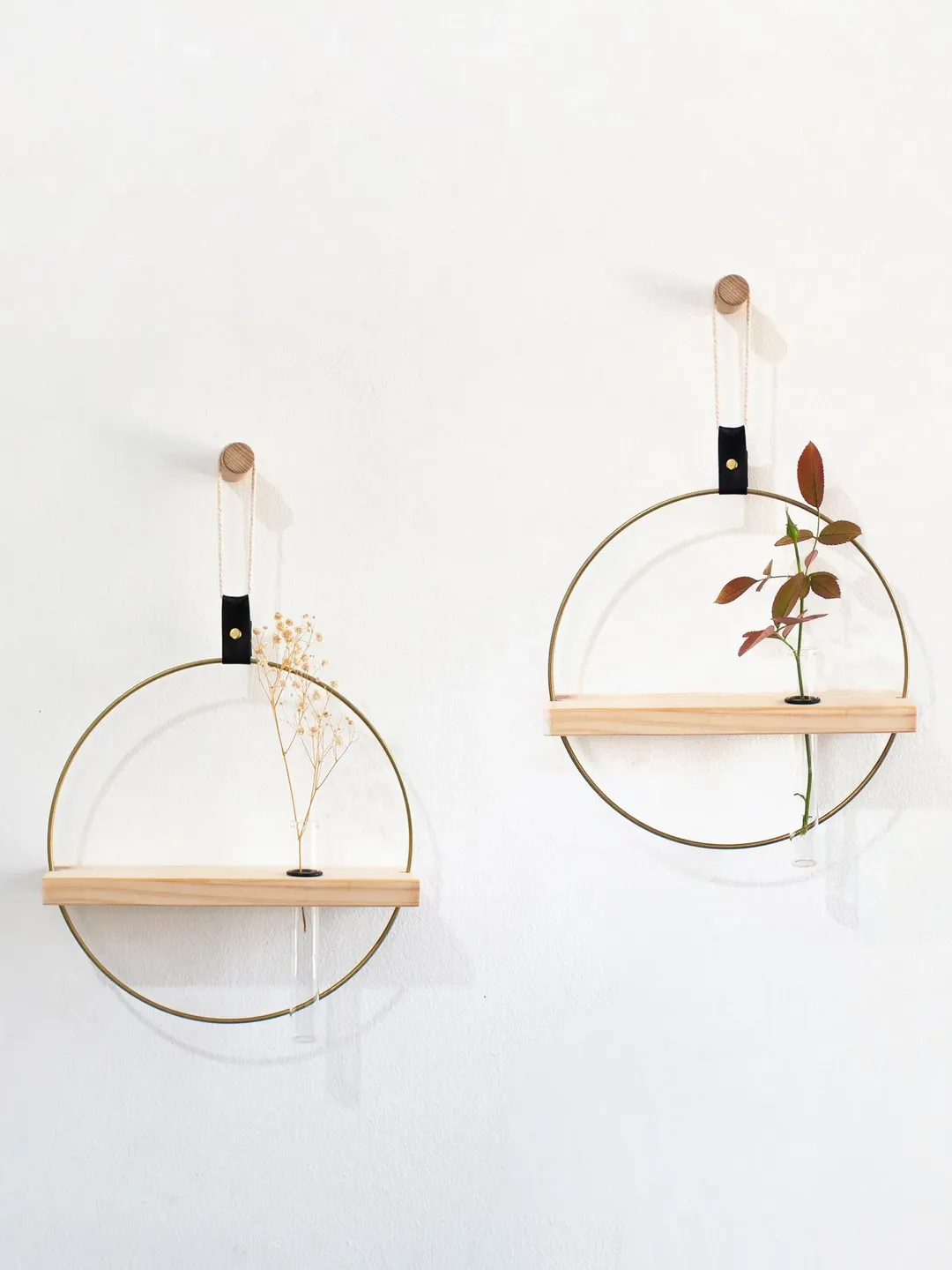 Propagation Wall Plant Holder Set, Test Tube Propagation, Propagation Station Wall, Propagating Plants, Wall Hanging Propagation Station