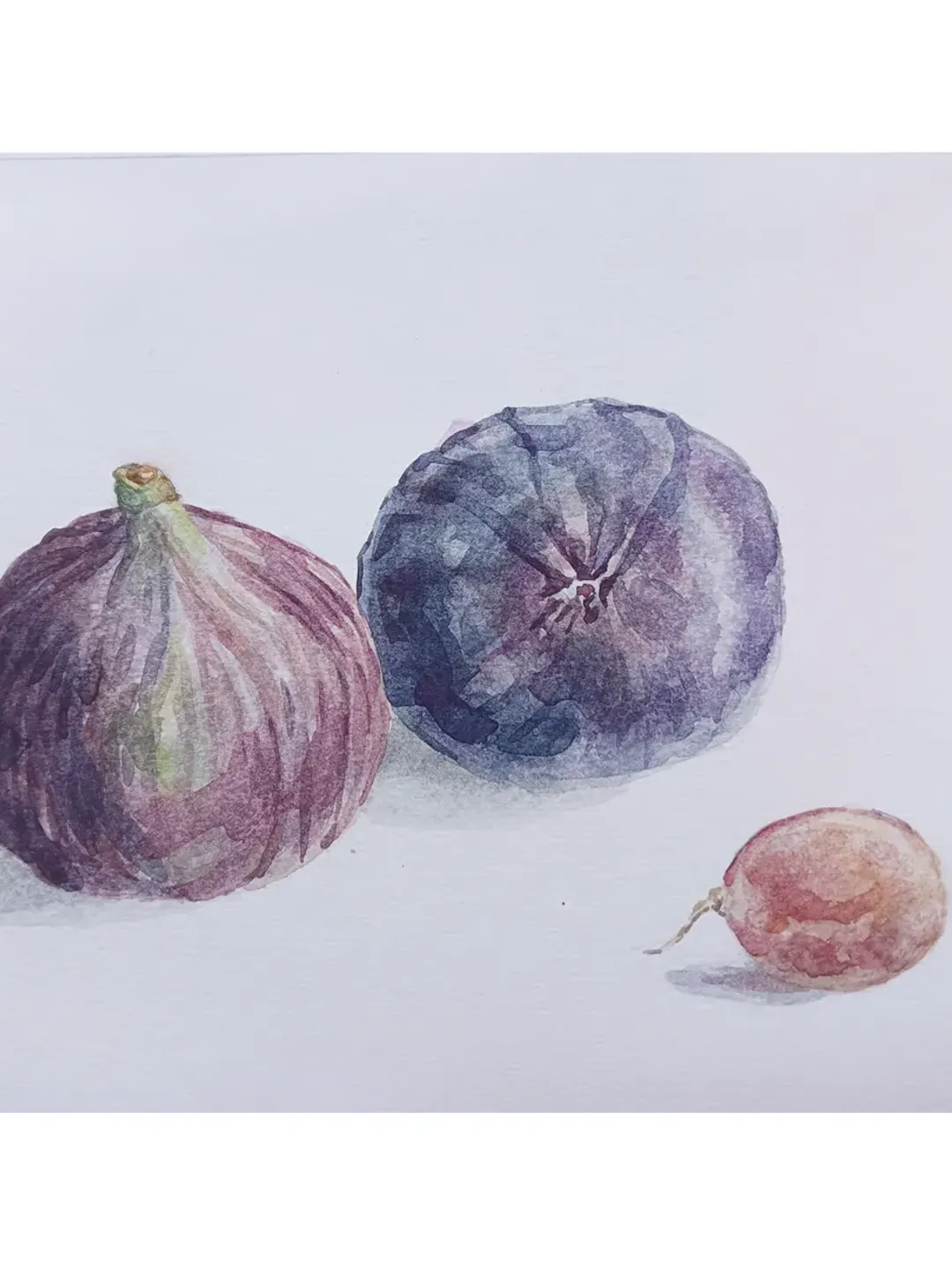 "Figs with grape", watercolor original wall art painting fruit still life picture, 20x15cm.