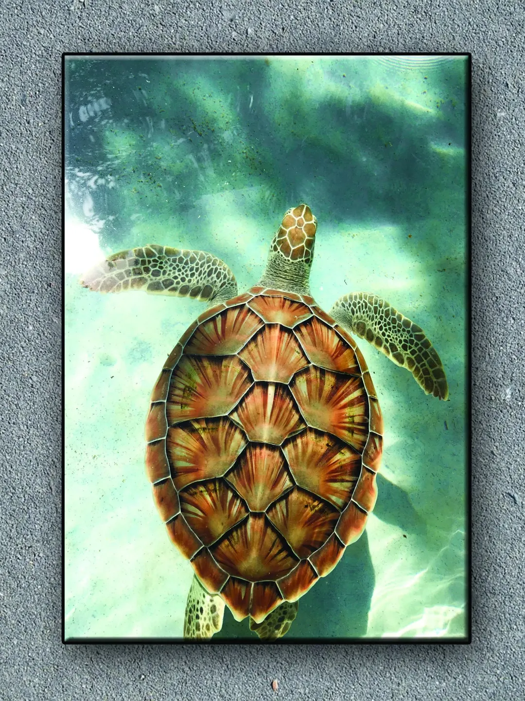 Turtle Print on Canvas , Floating Frame Option, Modern Wall Art, Extra Large Canvas Wall Art