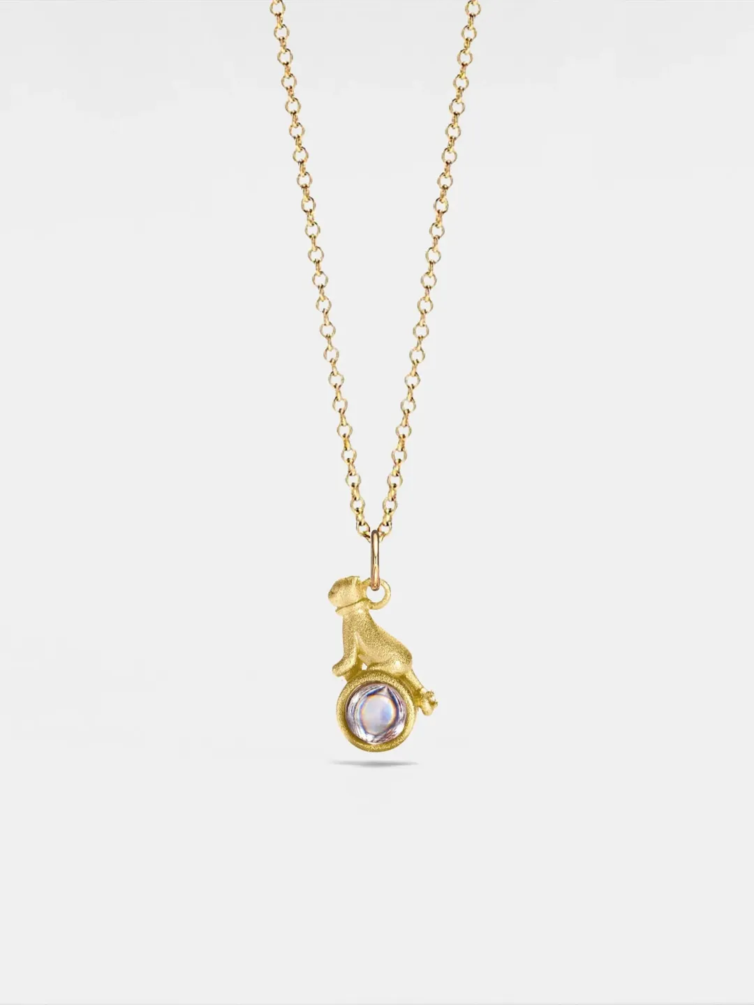 PERIMADE Cat Photo Projection Necklace • Custom Pet Memorial Photo Pendant • Personalized Picture Inside Jewelry • Trendy Best Friend Gift