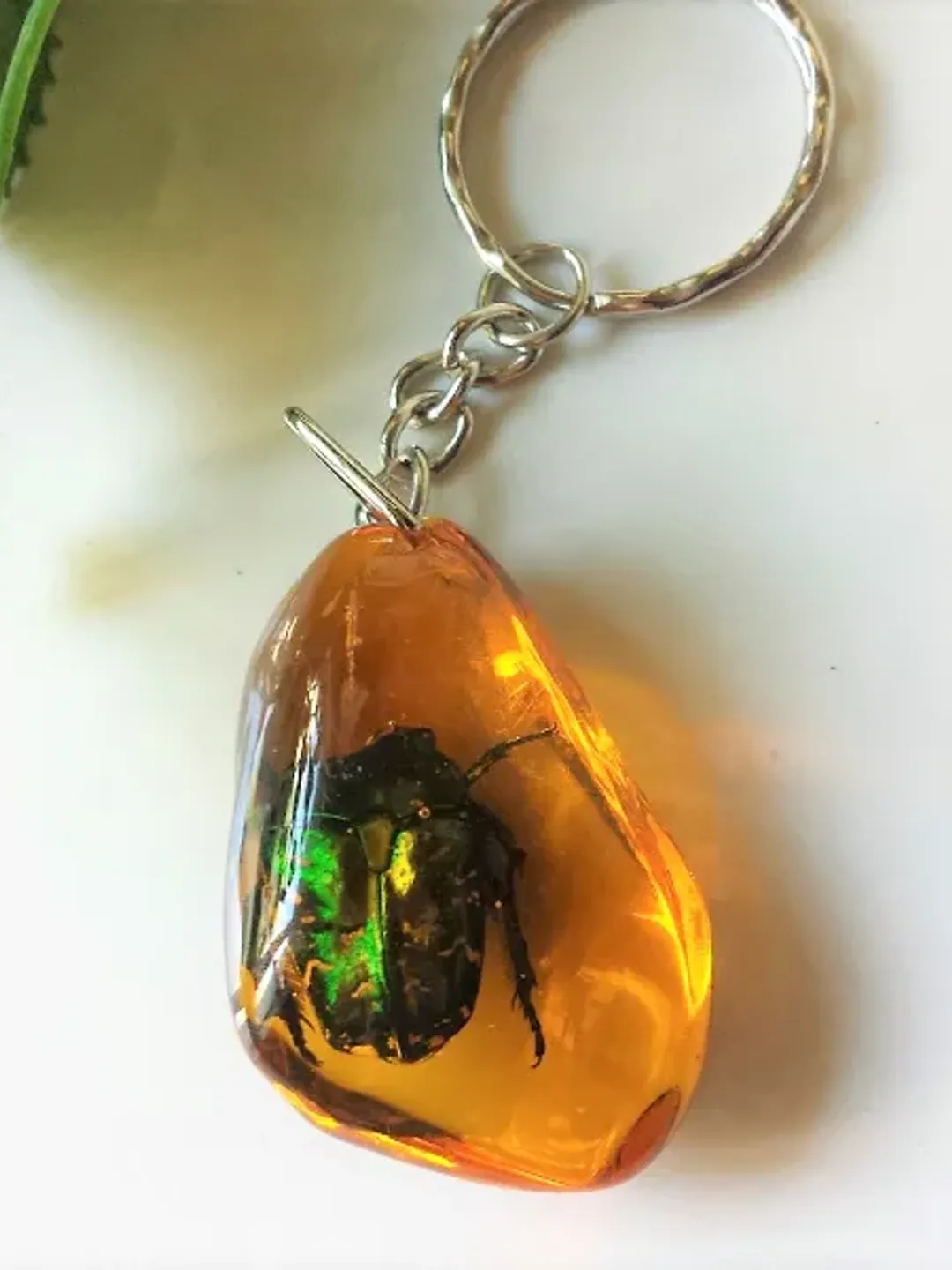 Real insect In Resin keychain Green Bug Beetle In Amber Resin keychain ...