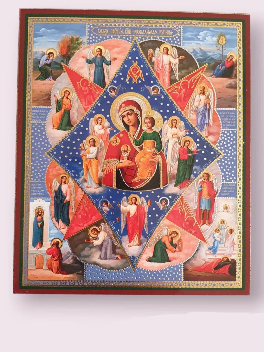 Theotokos the Unburnt Bush orthodox icon | Orthodox icon | free shipping from the Orthodox store