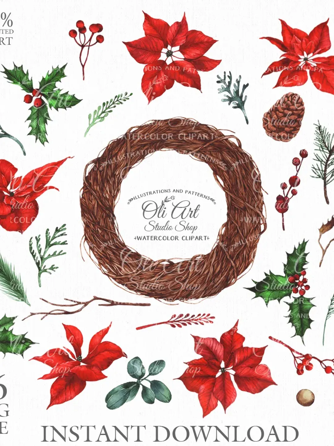 Merry Christmas Clip Art. Poinsettia. Digital Clipart, Hand Drawn Graphics,  Digital Download. OliArtStudioShop, image size:1080x1440