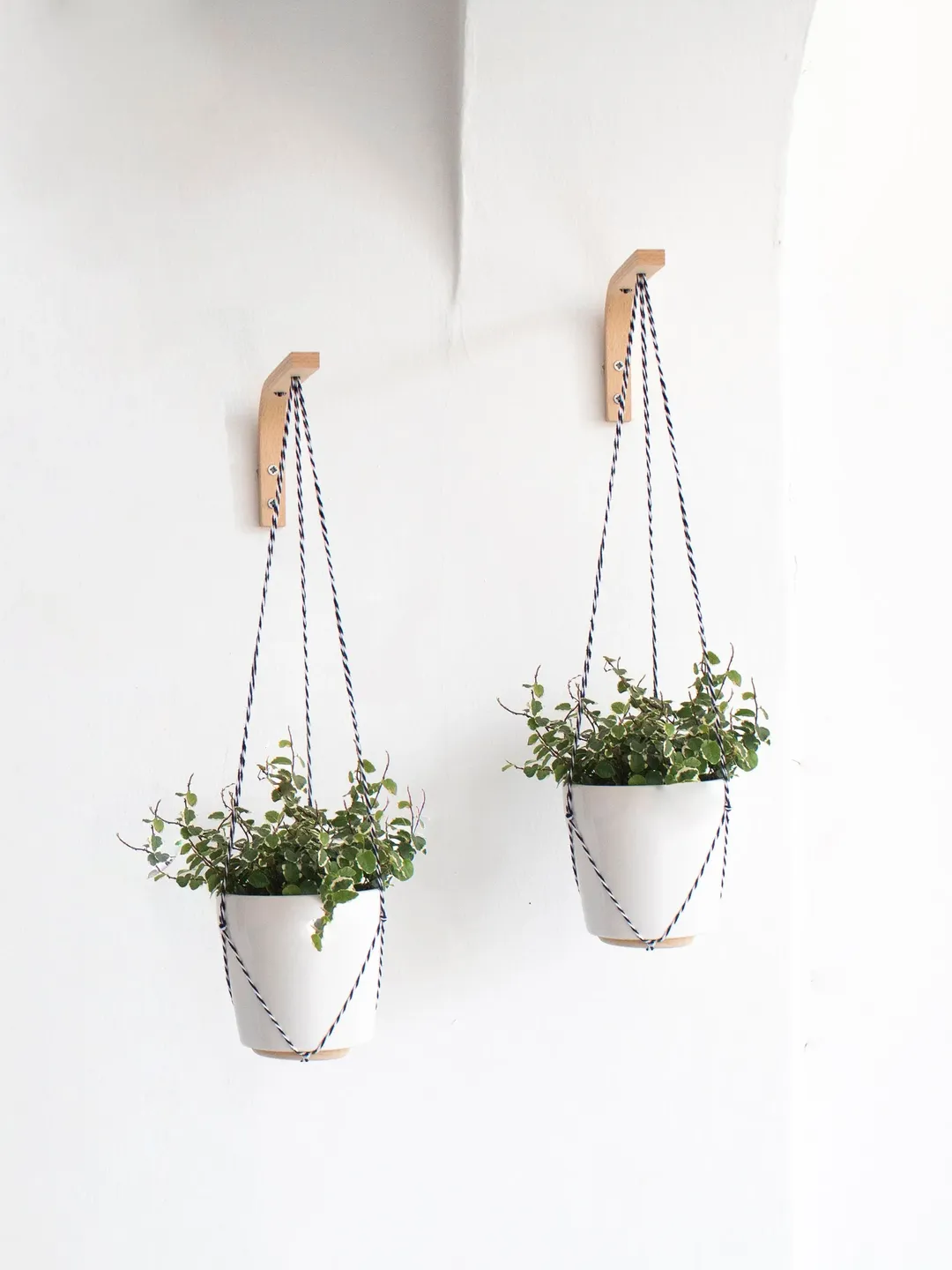 Wall Plant Hanger Mini Set Of 2, Wall Hook For Hanging Plants, Small Plant hanging, Hanging Plant Holder, Wooden Plant Hook, Plant Holder