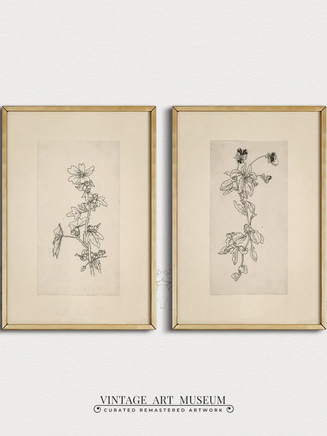 Botanical Print Set of 2 Vintage Sketches, Digital Minimalist Floral Art, PRINTABLE Wall French Country Decor # 223
