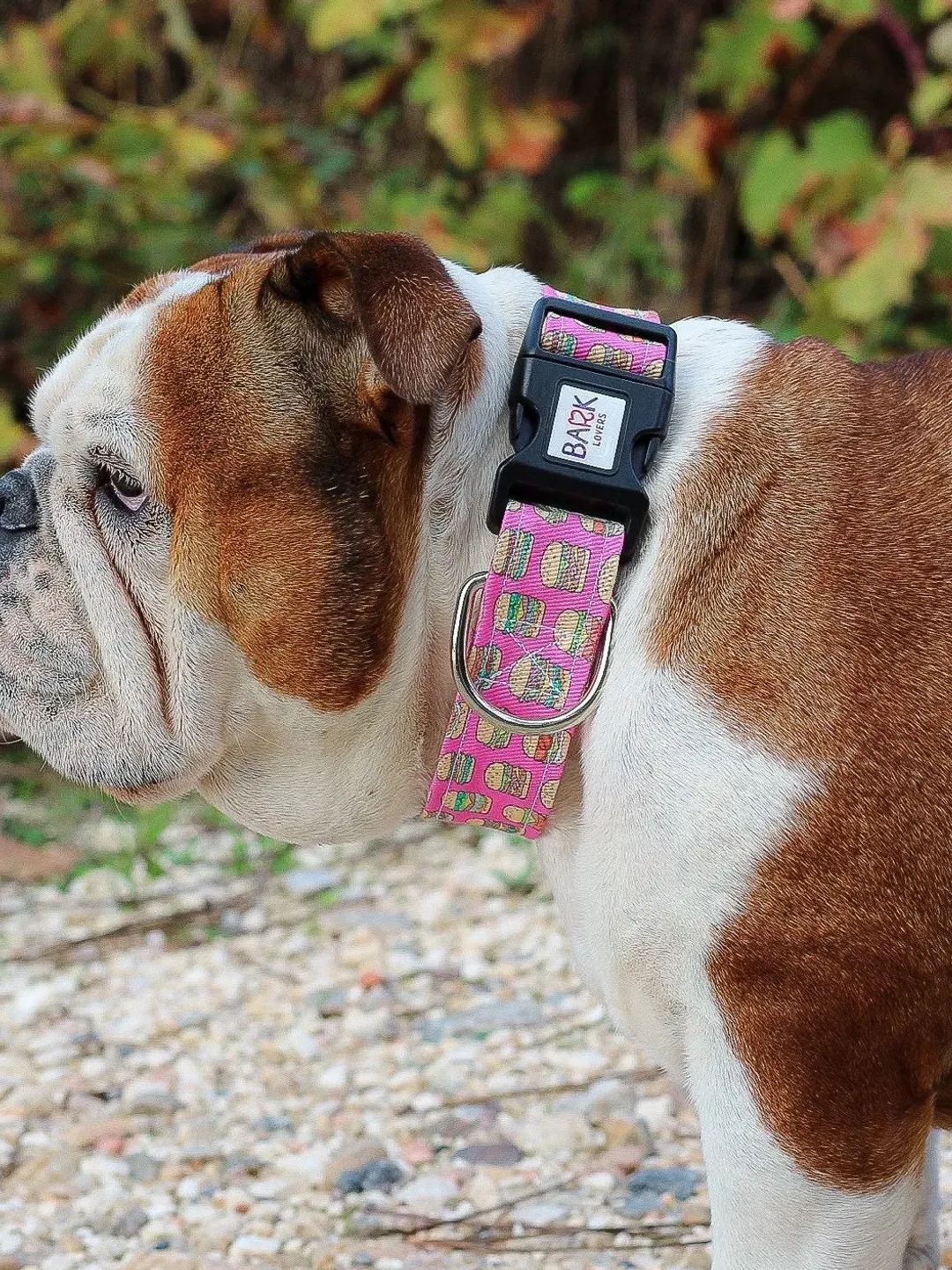Burgers Dog Collar, Food Dog Collar, Pink Dog Collar Girl, Wide Dog ...