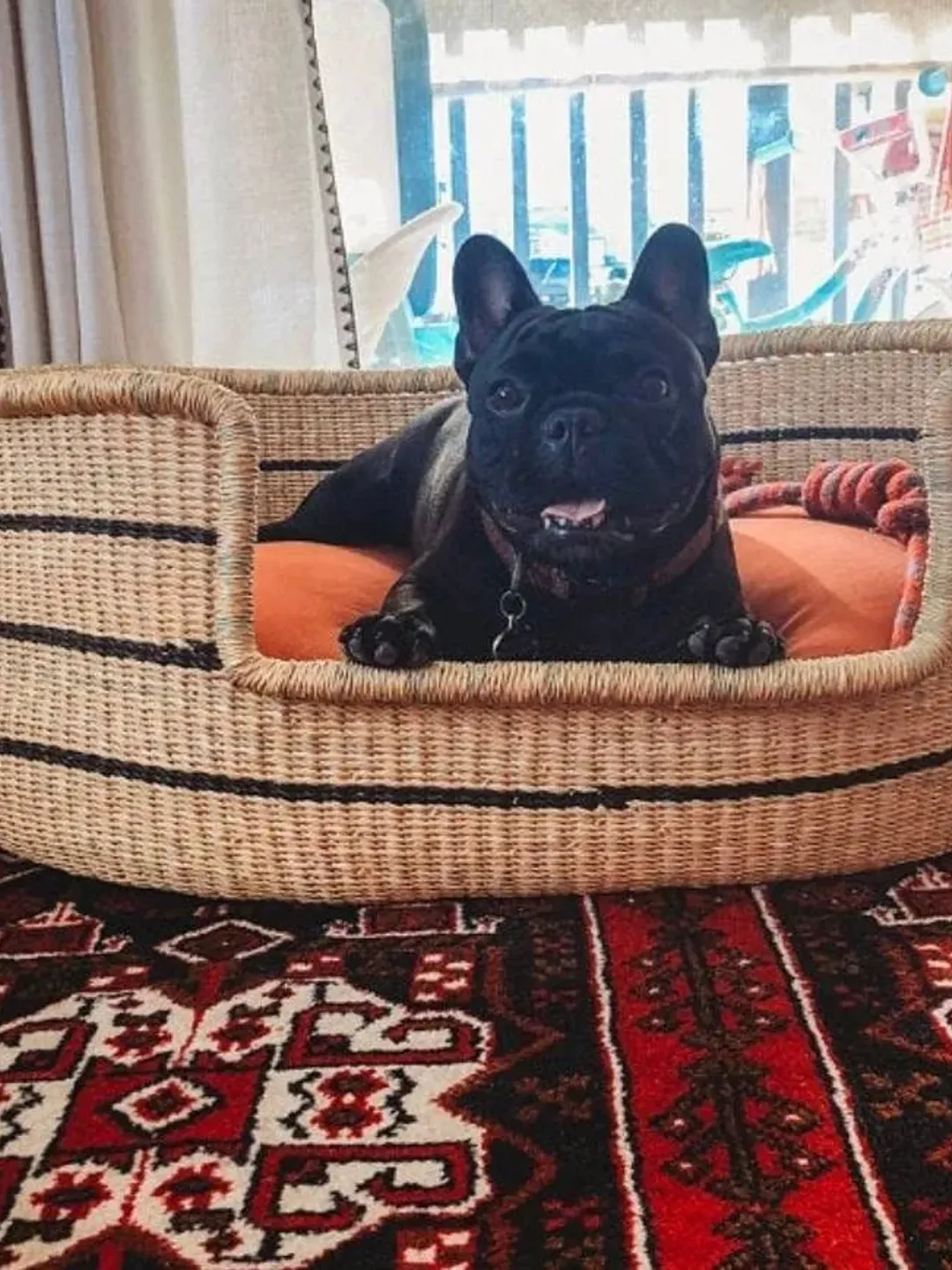 Personalized Dog Bed Furniture, Personalized Cat Bed Furniture, Dog Bed Frame, Custom Dog Bed