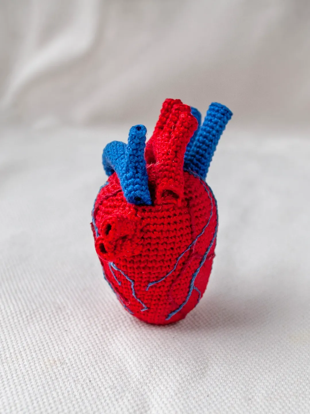 Anatomical human heart crocheted, Realistic heart Gift for a