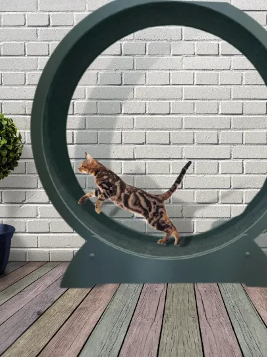 Cat running wheel Exercise wheel for cats Cat furniture Running wheel ...
