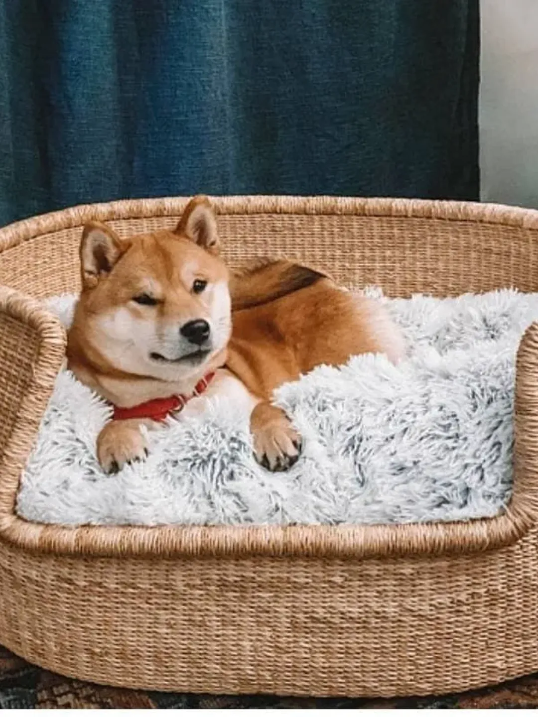 Personalized Dog Bed | Dog Bed Furniture | Dog House | Modern Dog Bed | Dog Toy Basket | Dog Gift Basket | Pet Furniture | Large Dog Basket