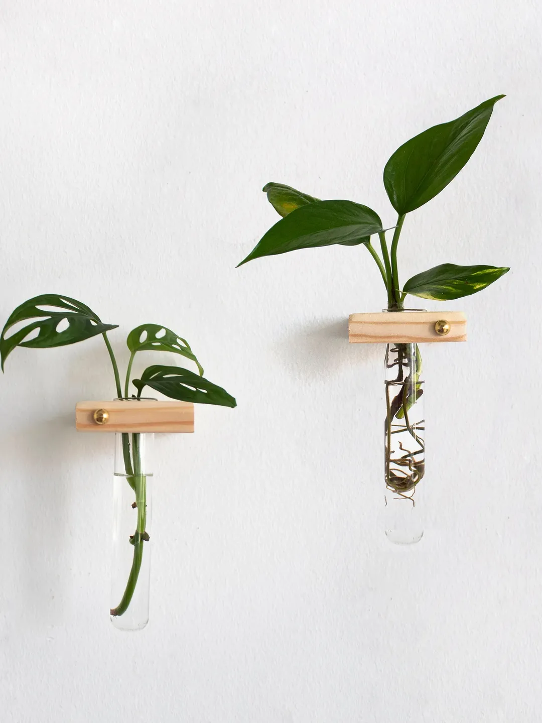 Propagation Station Set of 2, Plant Propagation Wall Hanging, Plant Propagation Tubes, Test Tube Plant Holder, Wall Propagation Planter,