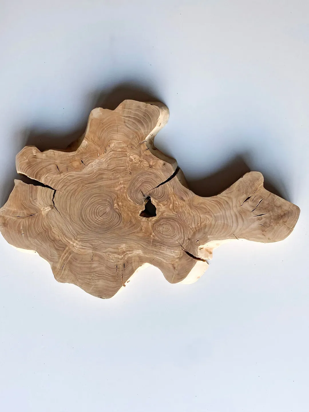 Live Edge Olive Wood Slab, 23"x13"x1.6" Raw Edge Wood, Epoxy Resin Wood, Tree Slice, Live Edge Slabs