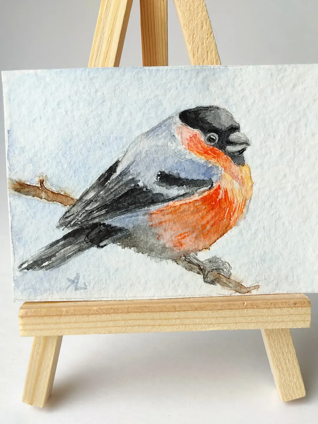 Bullfinch Painting Original Watercolor Art ACEO bird Miniature Artwork painting