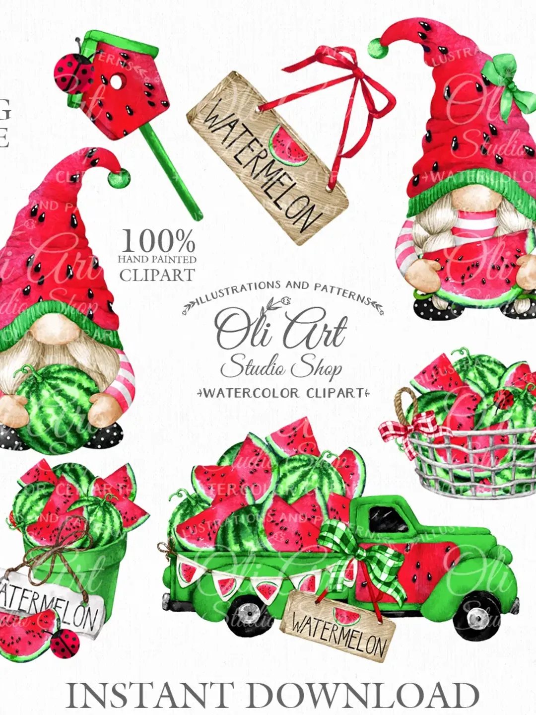 Watermelon Gnome Clipart. Truck, Hand Drawn Graphics, Instant Download. Digital Download. OliArtStudioShop
