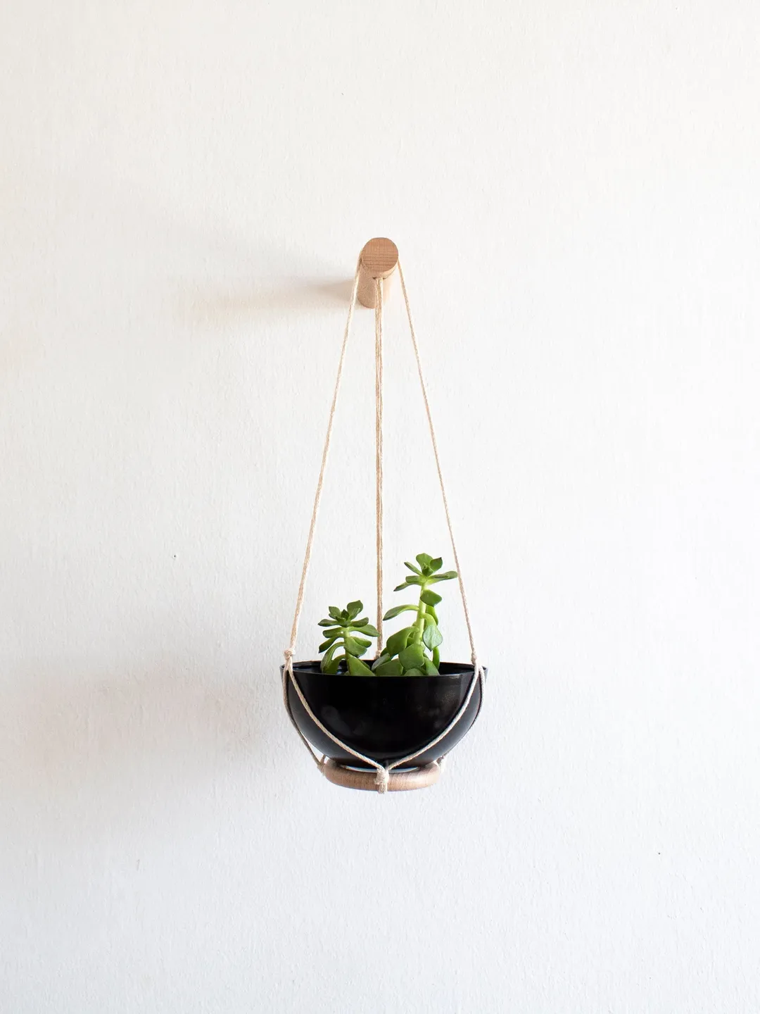 Mini Succulent Planter, Small Plant Hanger, Wall Hook For Hanging Plants, Aluminum Planter, Wall Plant holder, Small Plant Hanger