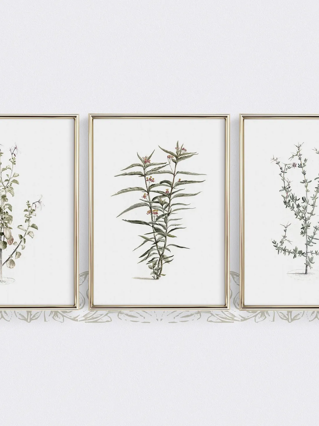 Antique Botanical Print Set of 3, Vintage Flower Painting, Printable Rustic Farmhouse Wall Art Decor | 397 S3