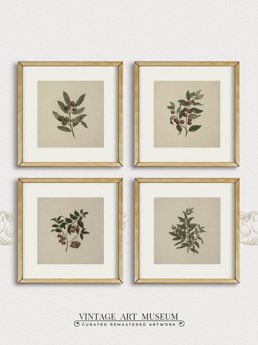Olive Branch 4 Square Prints Vintage Painting, Botanical Wall Art, Muted Tones Minimalist Decor, PRINTABLE Downloadable | 03