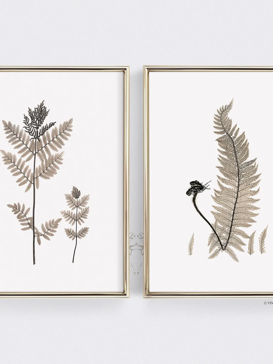 Vintage Fern Prints set of 2 Wall Art, Watercolor Painting Botanical PRINTABLE Home Decor, Digital Downloadable | 28 S2