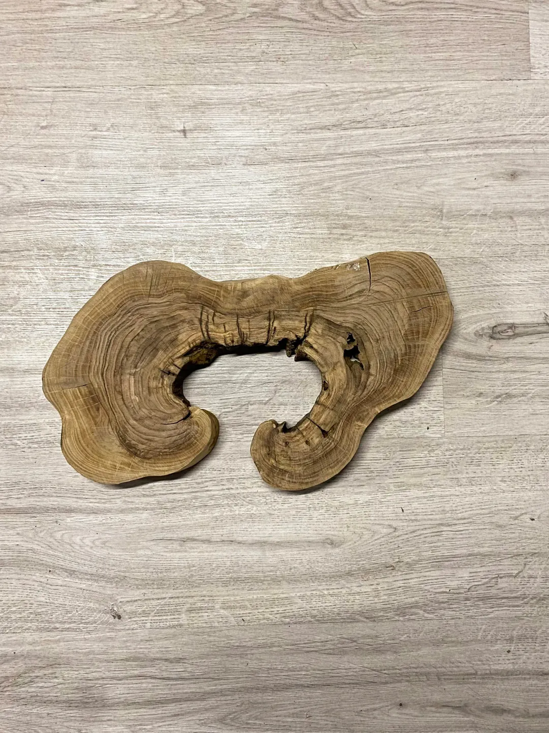 Live Edge Wood Slab, 16" Olive Wood Slab, Epoxy Resin Wood, Raw Wood