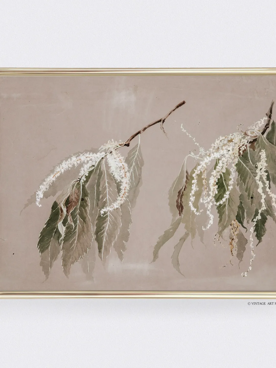 Antique Botanical Art Print, Vintage Tree Branches, Printable Wall Decor, Downloadable | 246