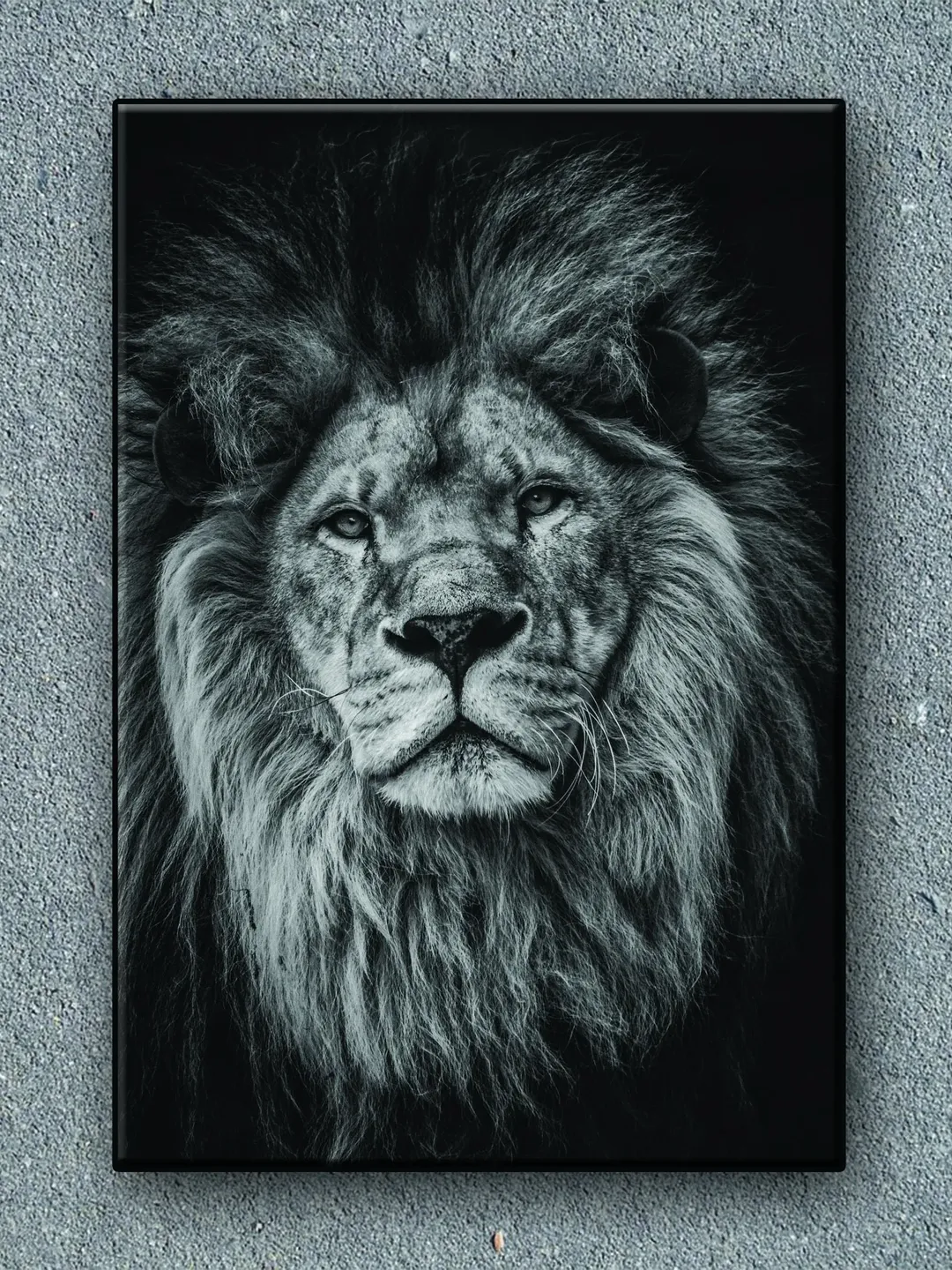 Lion Print on Canvas , Floating Frame Option, Modern Wall Art, Extra Large Canvas Wall Art
