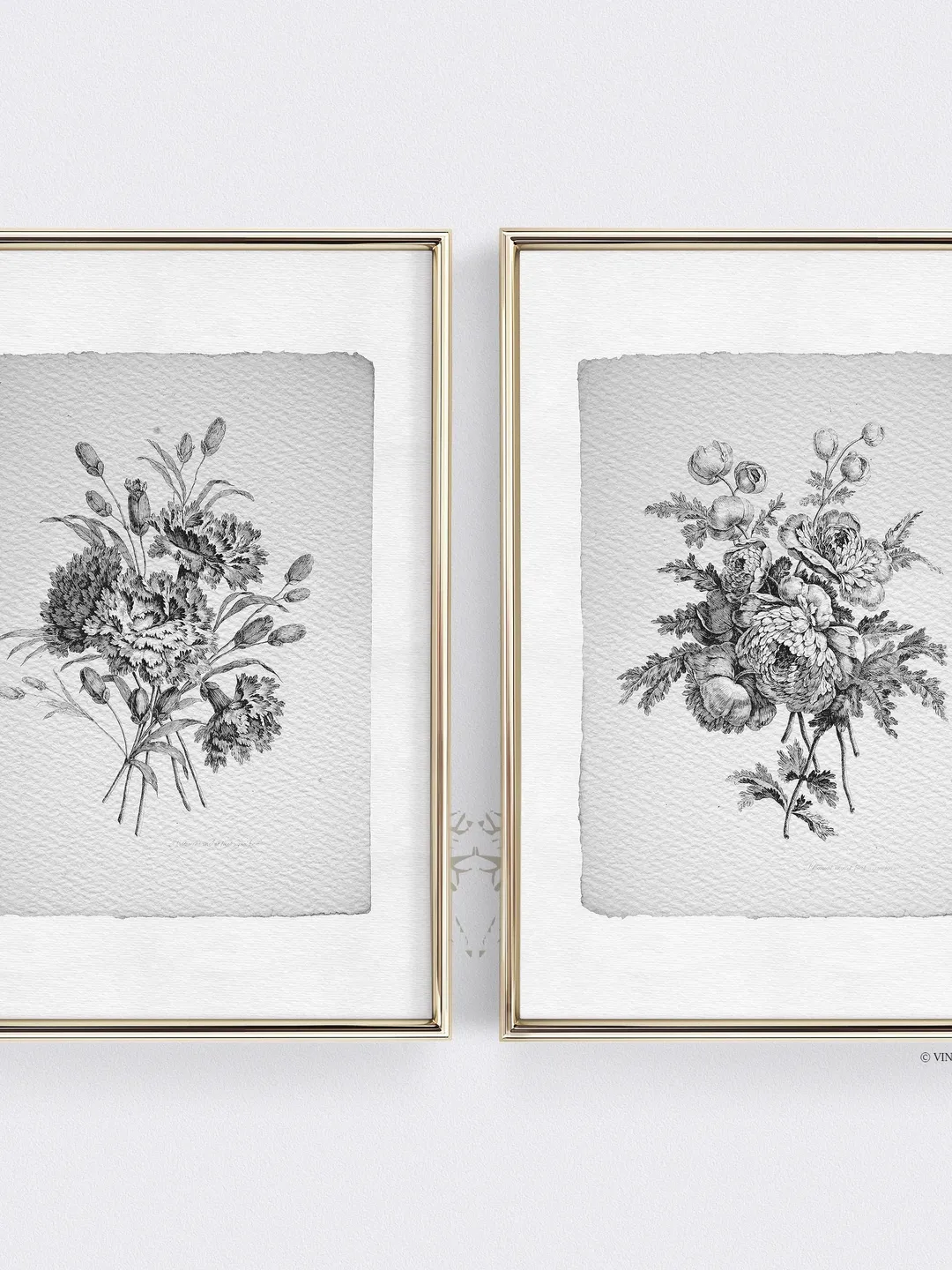 Vintage Botanical Print Set of 2 Sketches, Antique Floral Art Digital, Printable French Country Decor | 23 S2