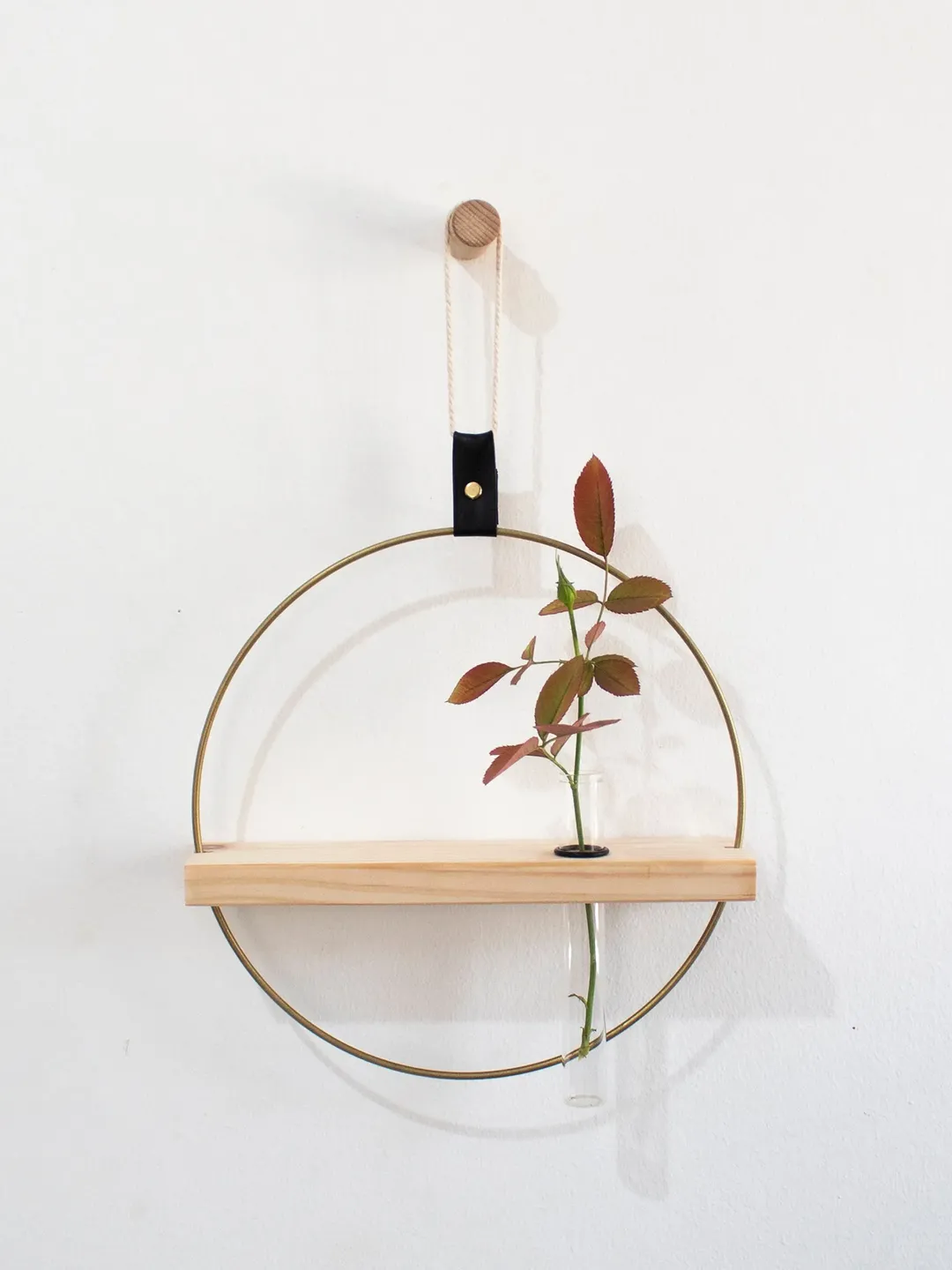 Propagation Station Wall Hanging, Test Tube Planter, Propagating Plants, Wall Propagation Planter, Test Tube Propagation Station