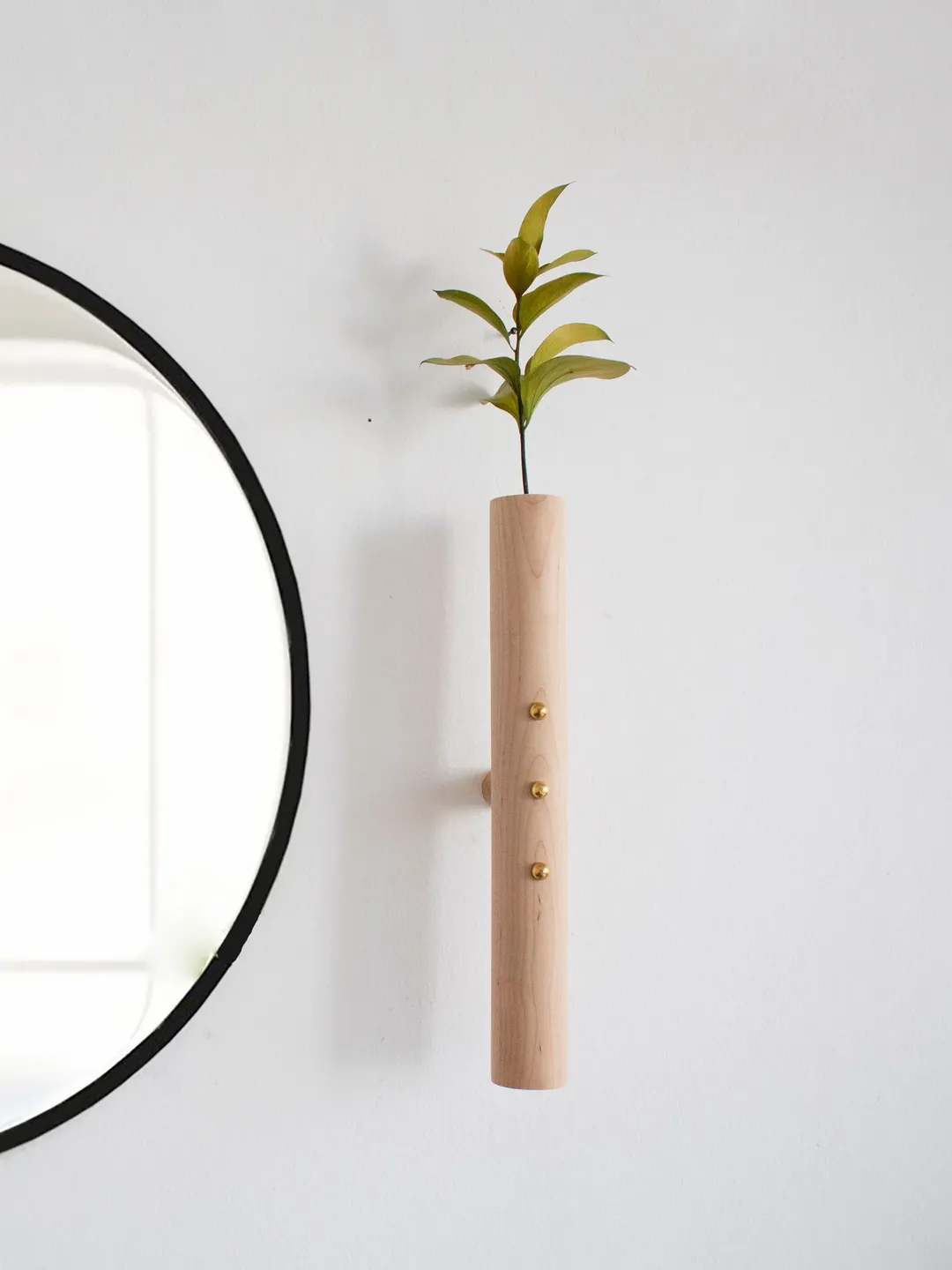 Dried Plant Wall Hanging, Wall Plant Holder, Vases for Dried Flowers, Wall Planter Indoor and Outdoor, Dried Flower Wall Hanging Decor