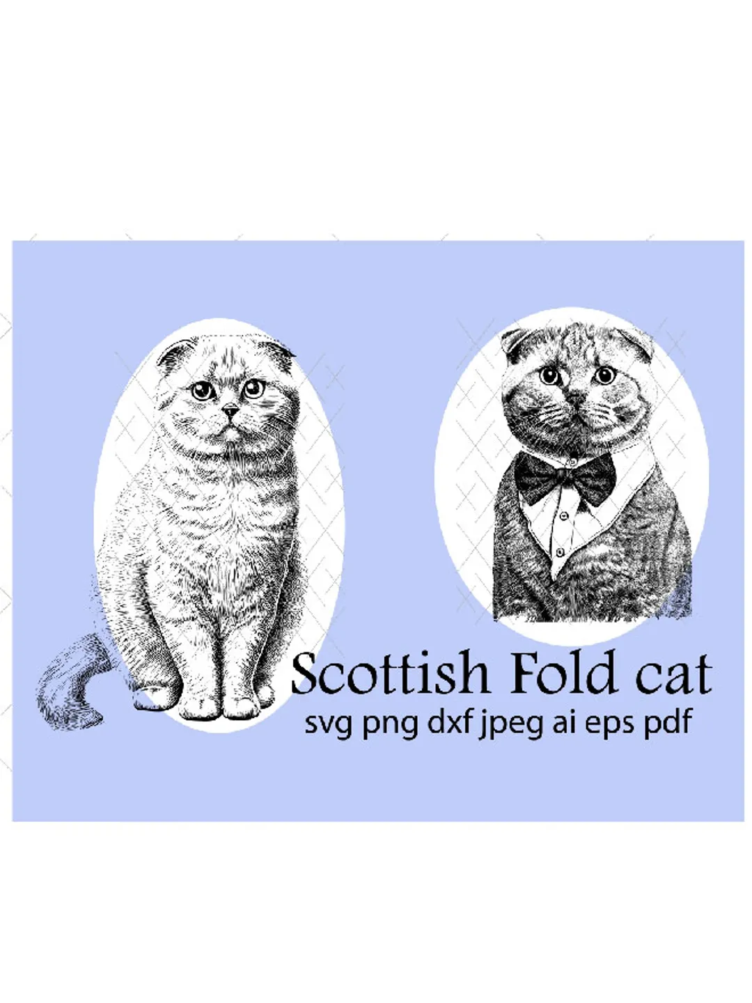 Scottish Fold Cat Instant Digital Downloadable File for Silhouette,Clipart,Vector,Cricut.In Svg,Dxf,Png,Jpg,Ai,Eps Format