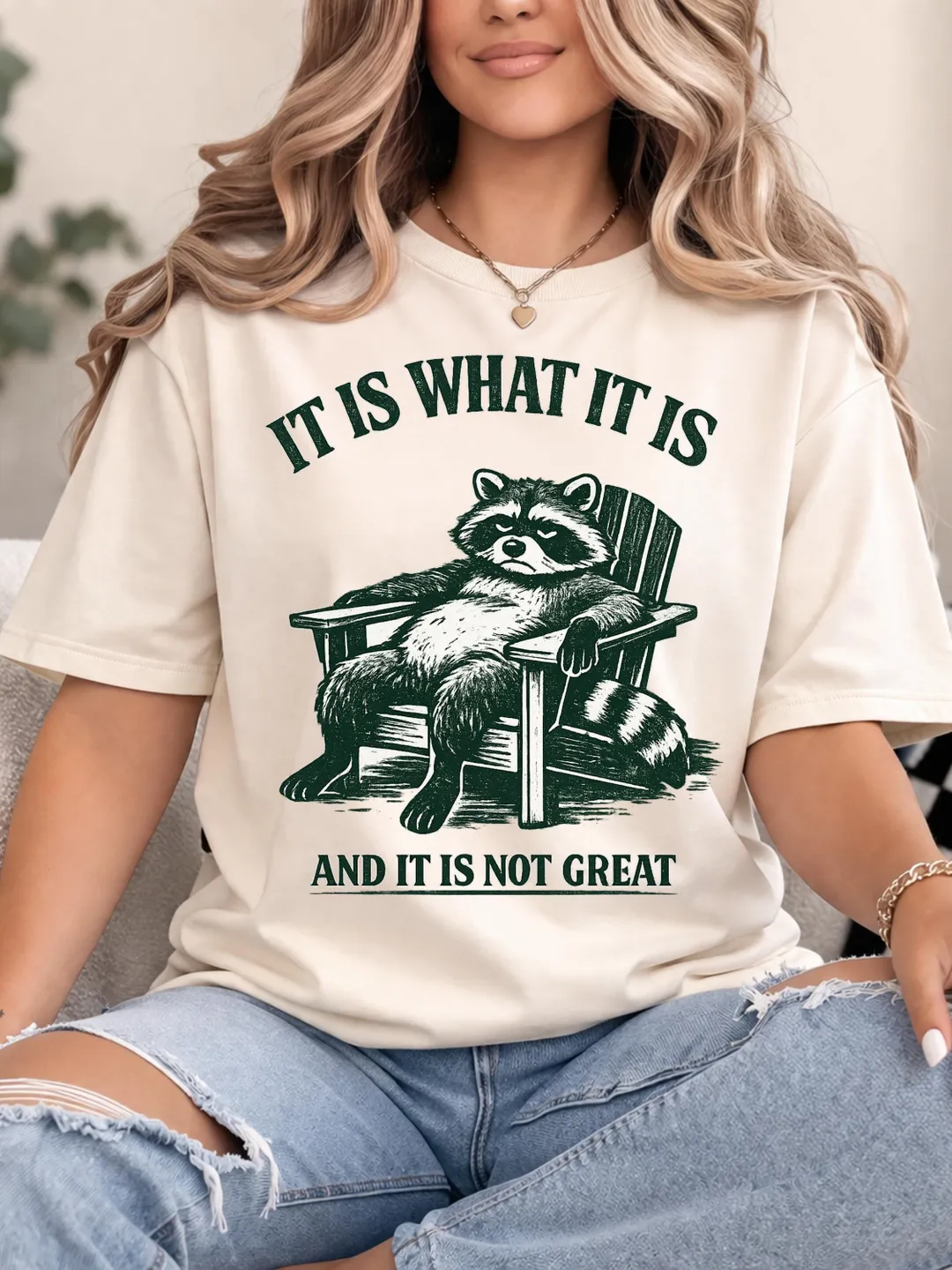 Funny Raccoon Meme PNG: It Is What It Is Not Great Existential Humor ...