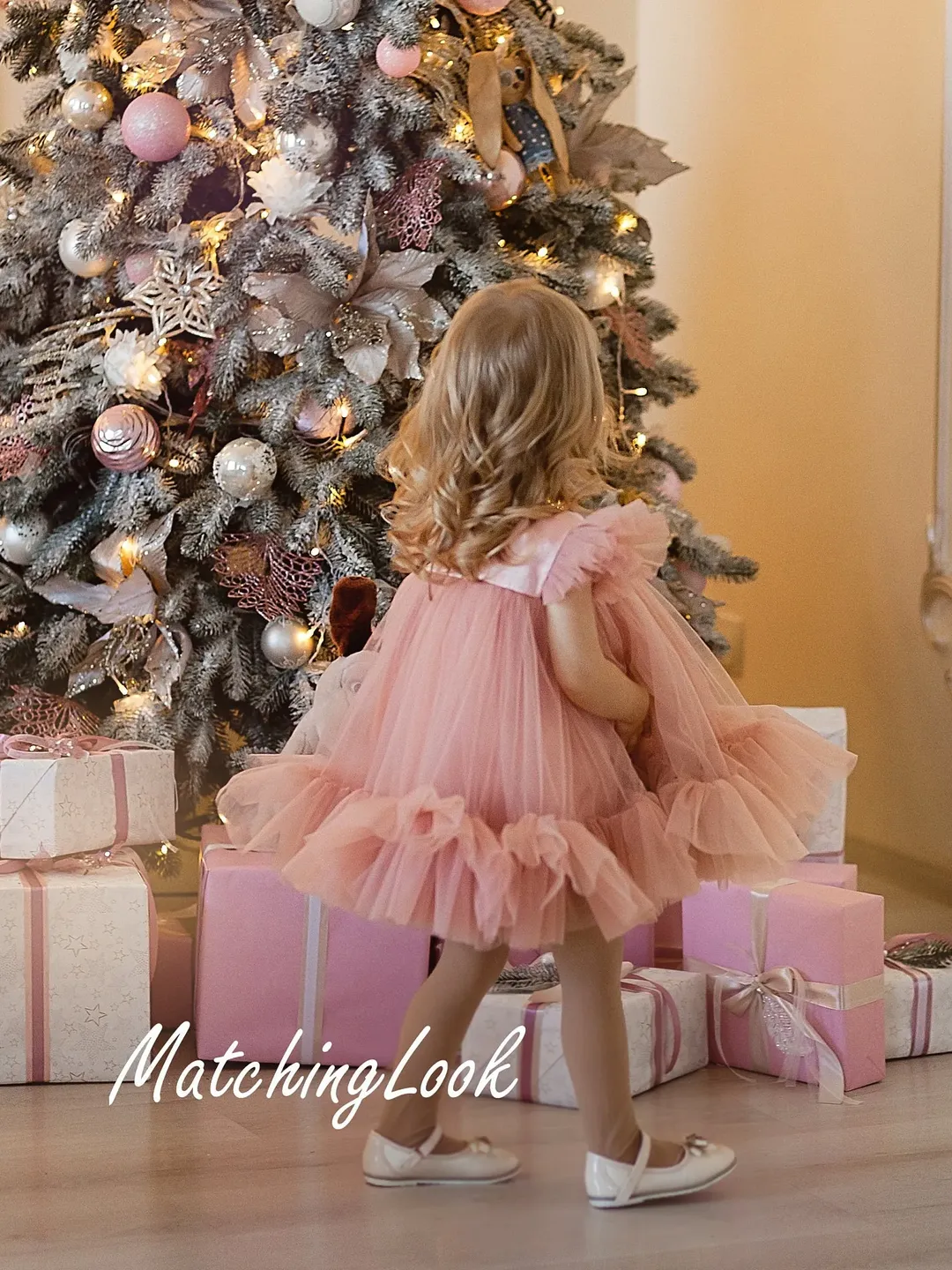 Baby Girl Dress, Occasion Dress, Flower Girl Dress, Baby Tulle Dress, Princess Tutu Dress, Photosession Dress, 1st Birthday Dress For Girls