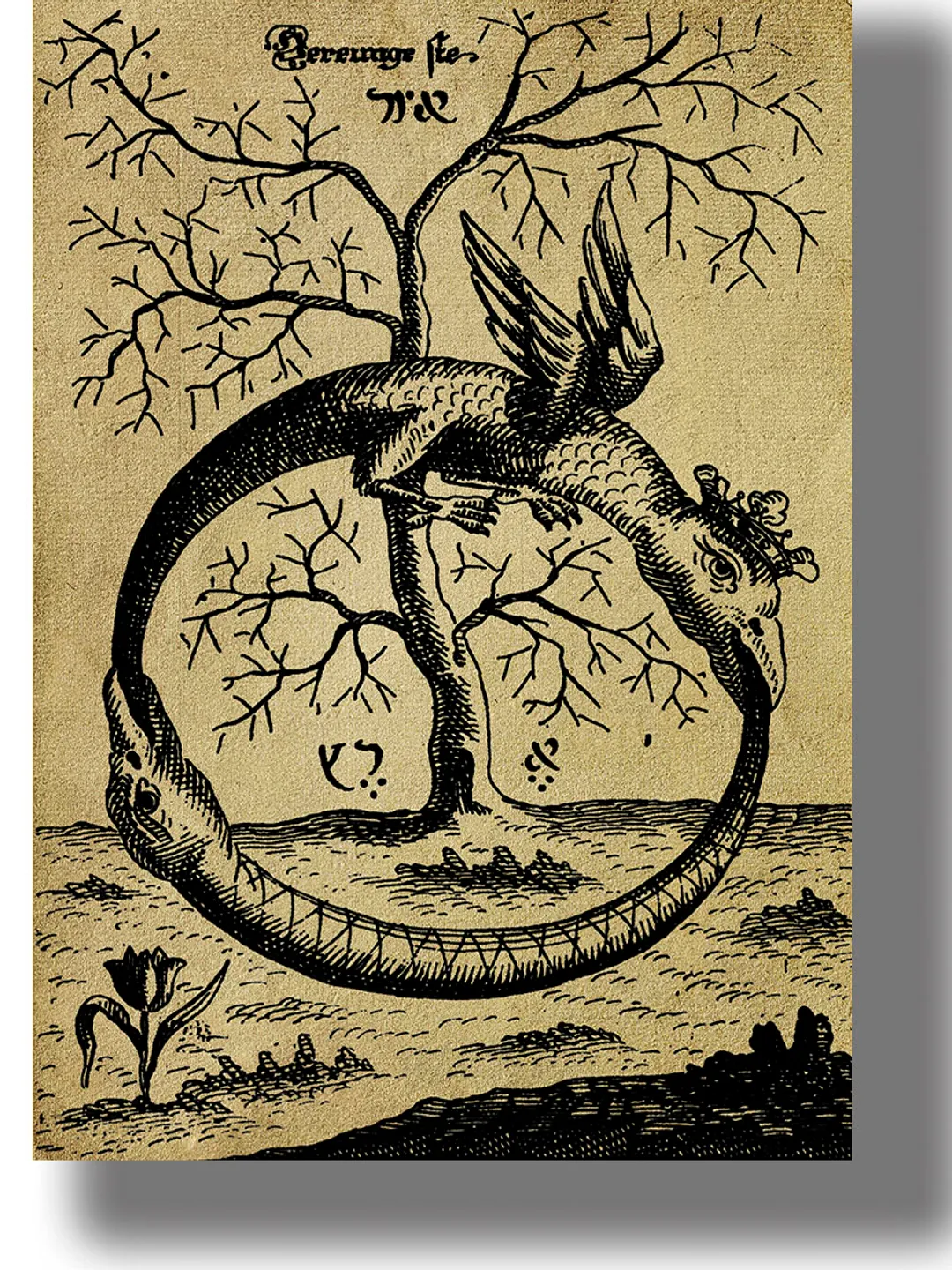 さらに 半額! 中 貴重 激レア UROBOROS サイン入り ポスター The Ouroboros snake eating its own tail.