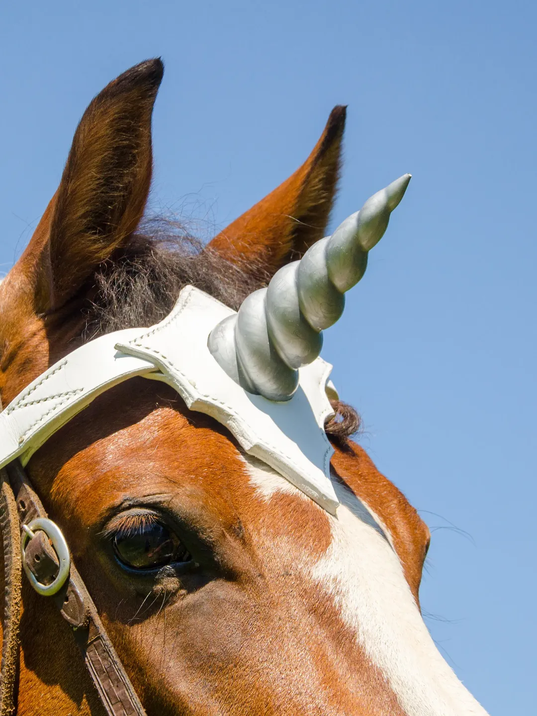 Unicorn browband for pony, mini horse. Handmade browband with soft horn. Custom size & colors
