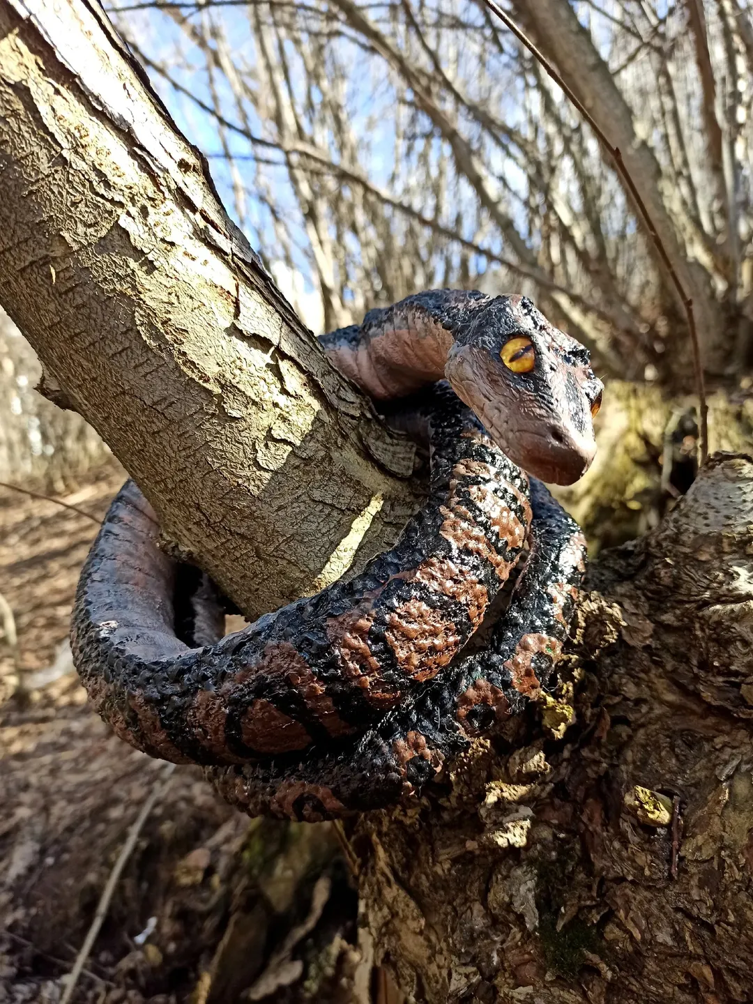ART doll. Realistic python, snake. Handmade FOR SALE