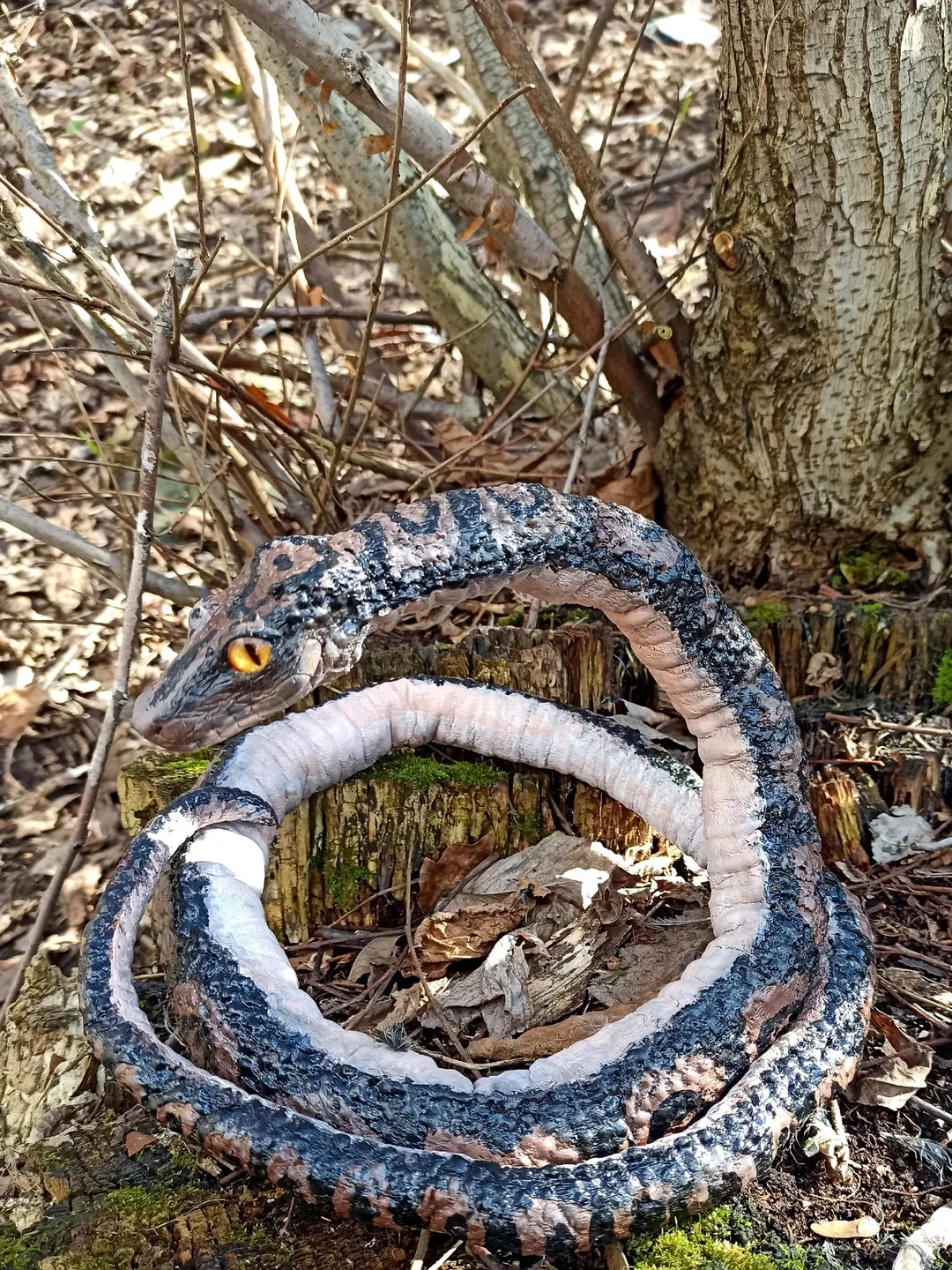 ART doll. Realistic python, snake. Handmade FOR SALE