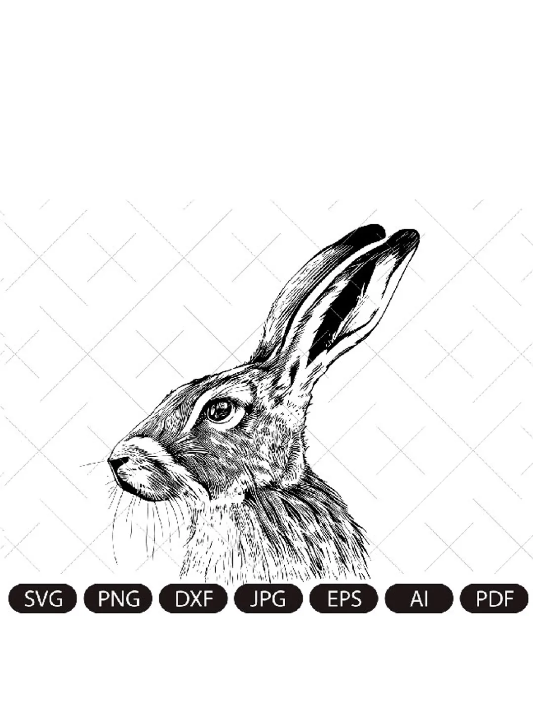 HARE png , clipart PNG, Easter hare  PNG, bunny Sublimation, Rabbit Clipart, spring Png, Bunny Png, spring sublimation.
