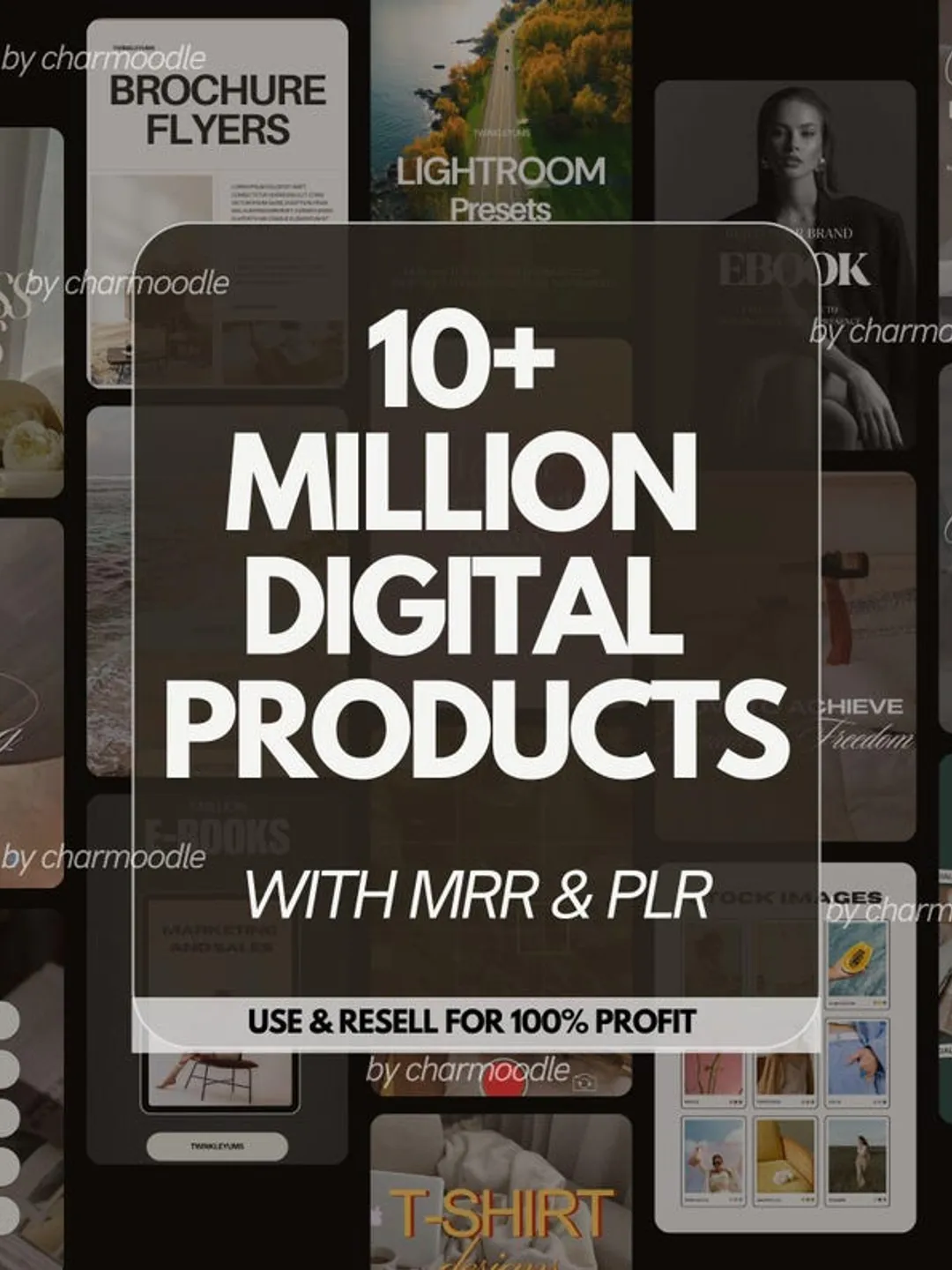 Resell Rights Software 10+ Million Digital Products Bundle | Master Resell Rights MRR ...