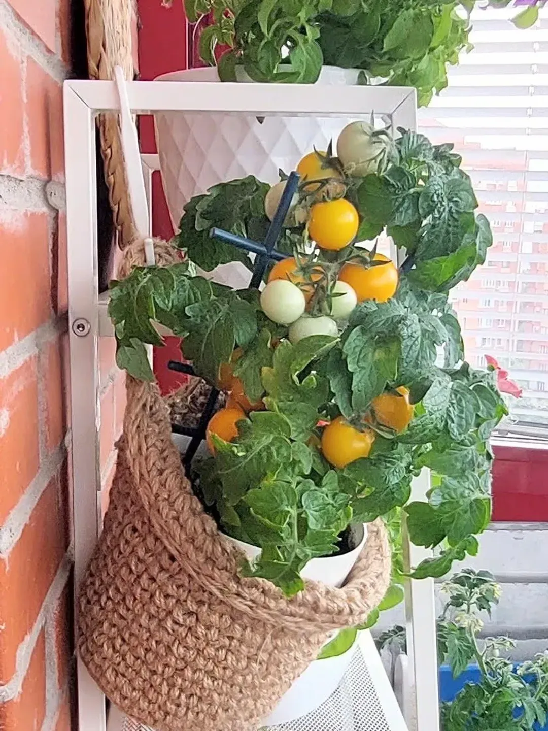 2 Fall hanging baskets Cottagecore room decor Fruits vegetable storage