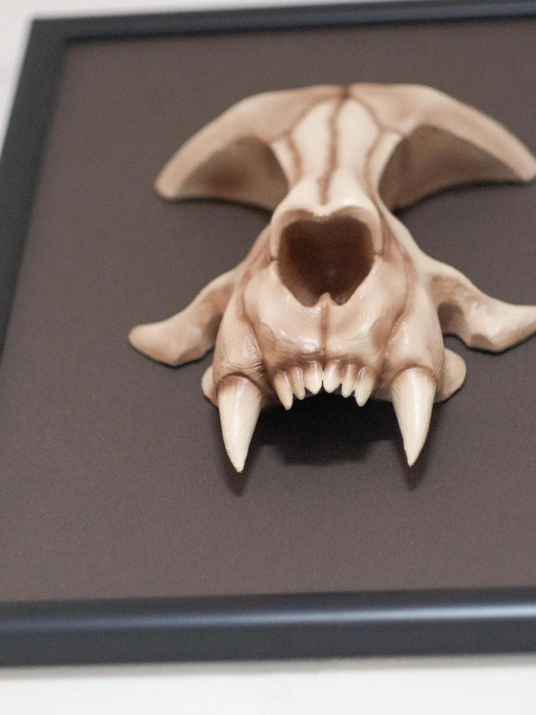 Wall-Mounted Sculpture with cat skull, framed skull, wall
