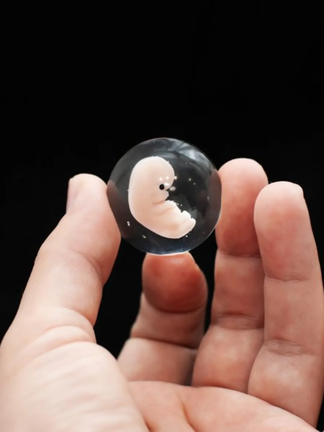Embryo 7 weeks in Lens, 7 weeks pregnant, Sculpture cast in resin