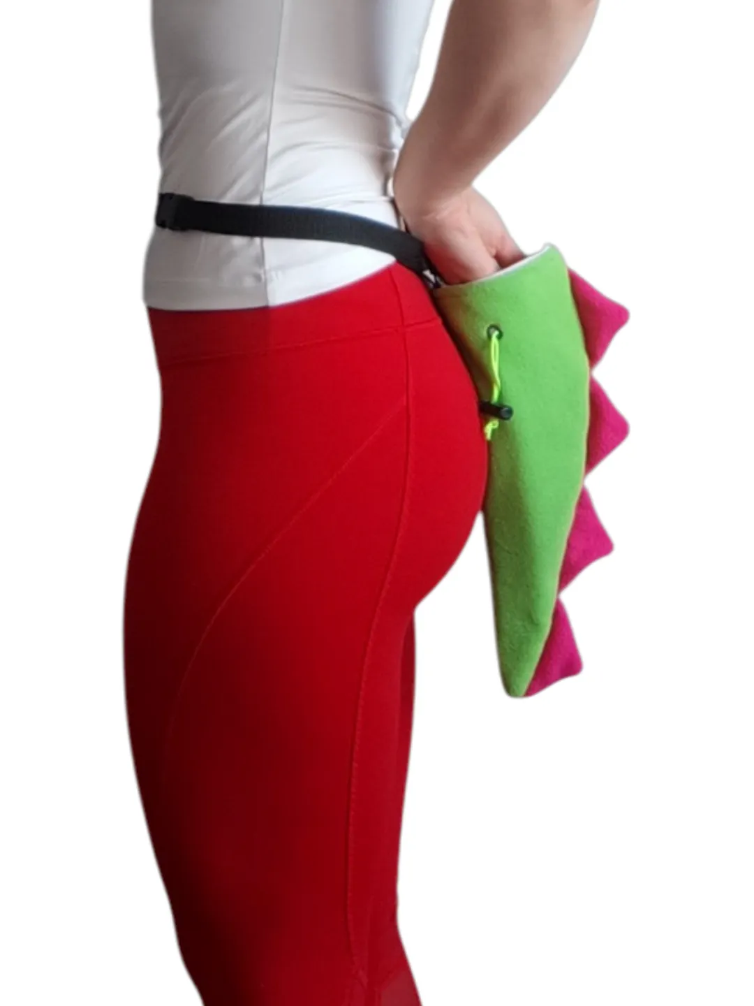 Chalk bag Dino Tail green for rock climbing