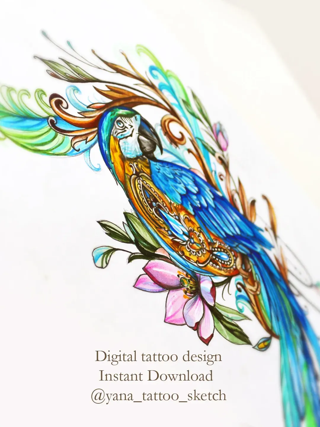 Parrot Tattoo Design Colour Parrot Tattoo Sketch Parrot and Flowers Tattoo  Design, Instant download PNG and JPG files, image size:1080x1440