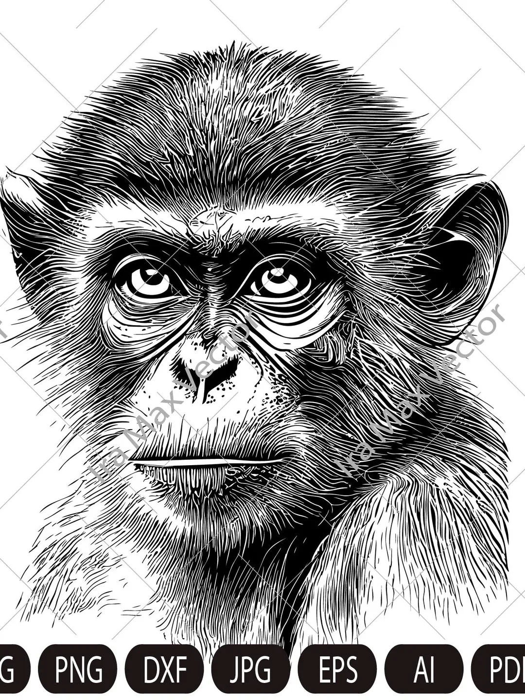 Monkey Head svg /MONKEY Face svg  / Monkey svg / Monkey King svg / Monkey Mascot svg /Monkey detailed/ Monkey Printable / INSTANT DOWNLOAD