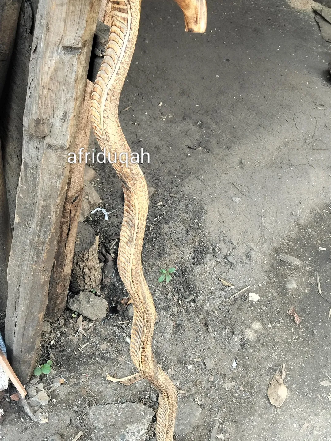 African wooden python original hiking walking stick,unisex walking ...