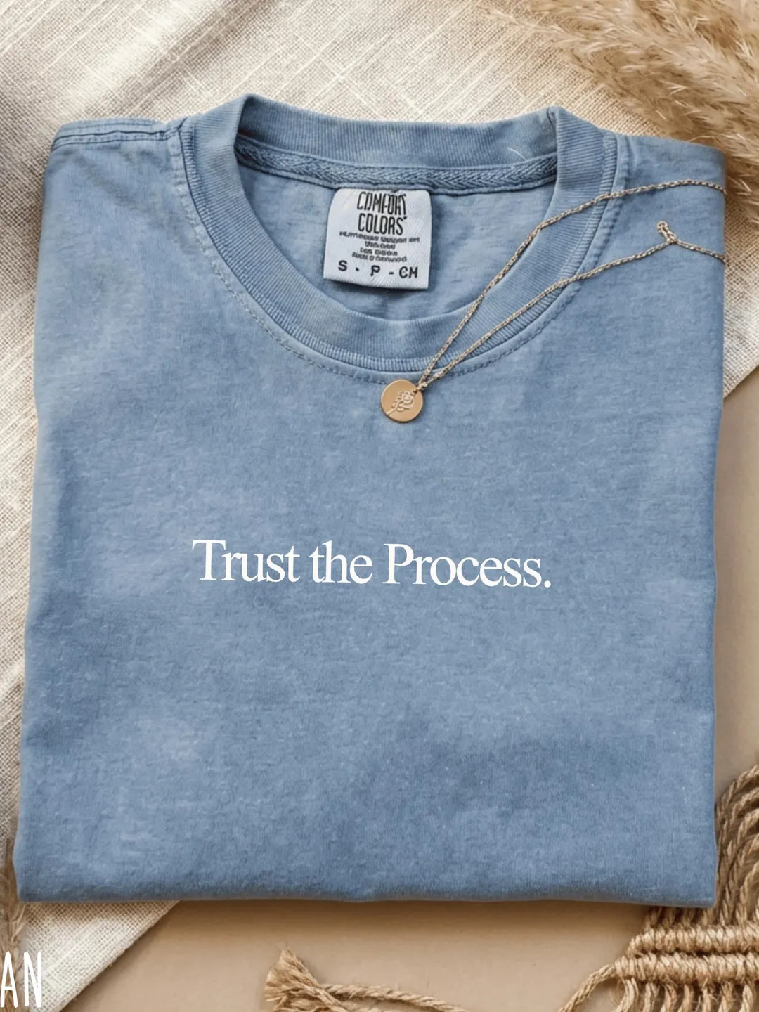 Trust The Process T-Shirt Men Women Motivation Gift Comfort Colors® T-Shirt